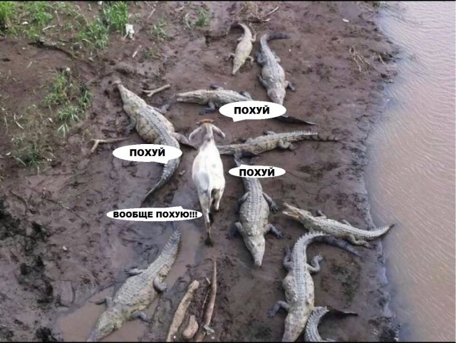 С миру по нитке 13.12