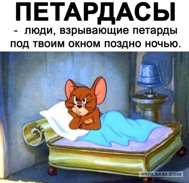 В Нижнем Новгороде салют выстрелил в толпу. Новогодней ночью в ЖК Высоково кто-то неудачно пустил фейерверк прямо по соседям