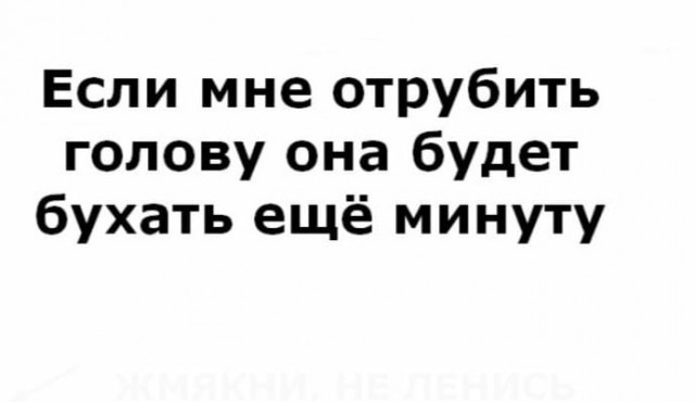 Японские исследователи обнаружили морских слизней, которые «отрубают» собственную голову, чтобы вырастить новое тело
