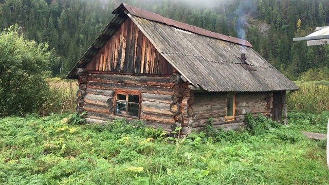 Дома на опушке леса