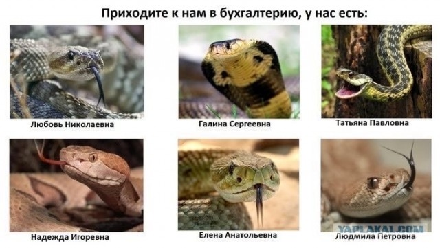 Картинки про работу