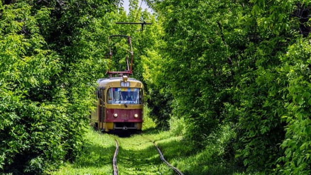 Картинки и мемы для настроения
