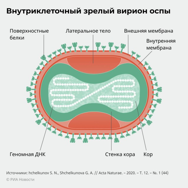 Вот это уже серьёзная заявка на победу! А то всё КОВИД да КОВИД!