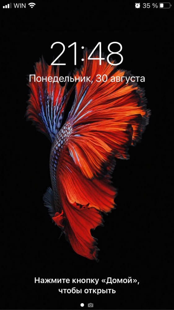 У кого что стоит на заставке телефона?