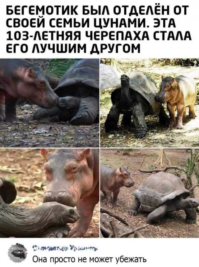 Юмор и прикольные картинки 18.10.2021