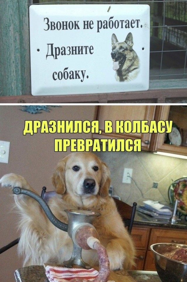 Чуток картинок 23.10.21