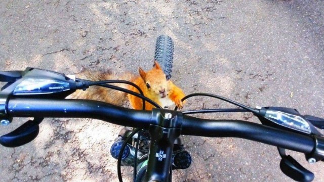 Картинки и мемы, всем прекрасных выходных