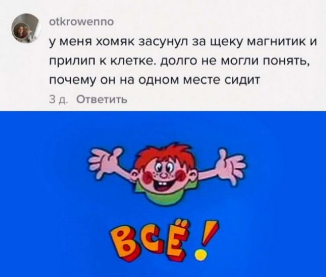 Картинки и мемы для настроения 22.11.2021