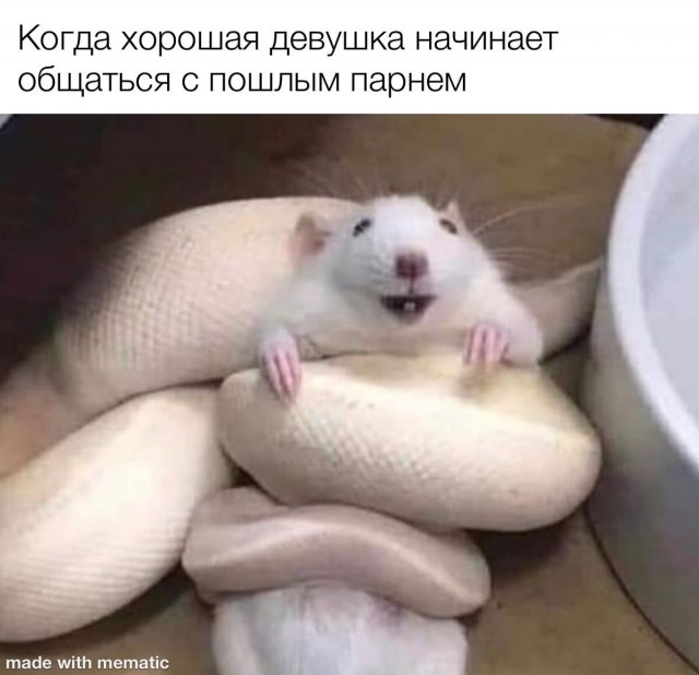 Картинки и мемы