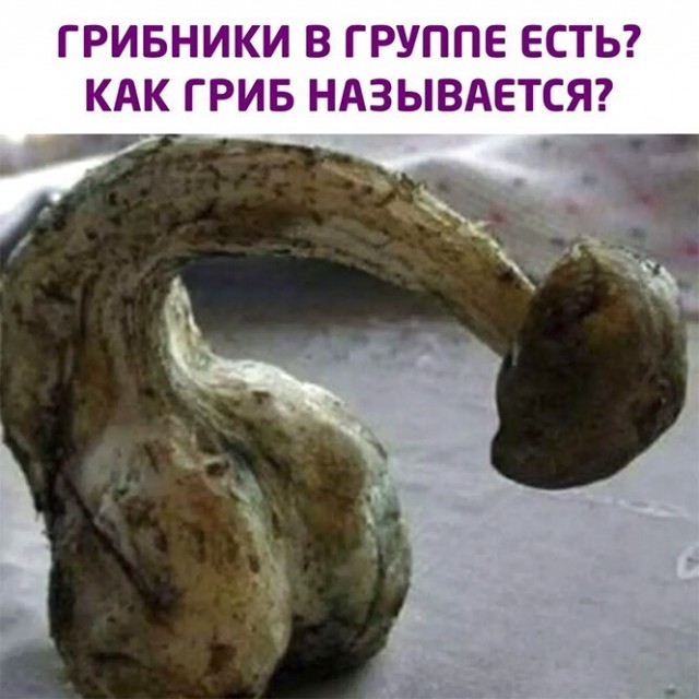 Баянисто-небаянистый юмор 28.12.21