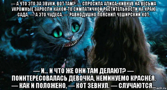 Сновидения