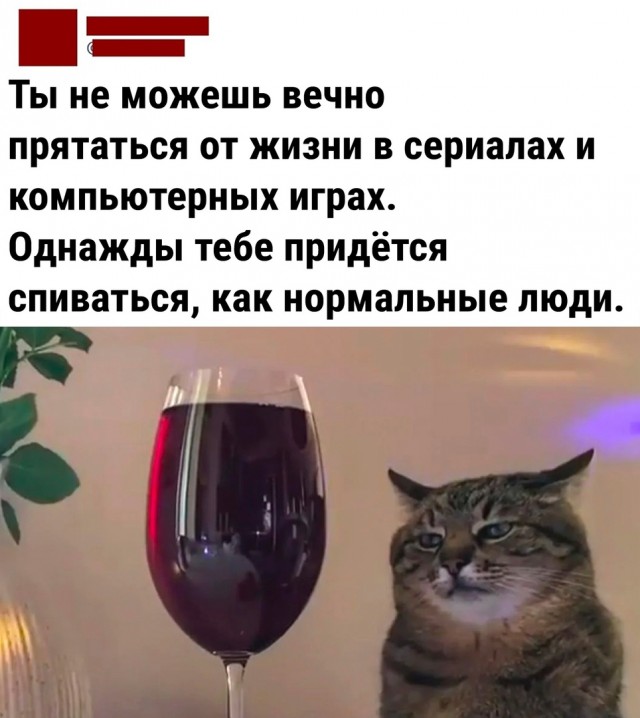 Так себе картинки 01.07.22 Пятница