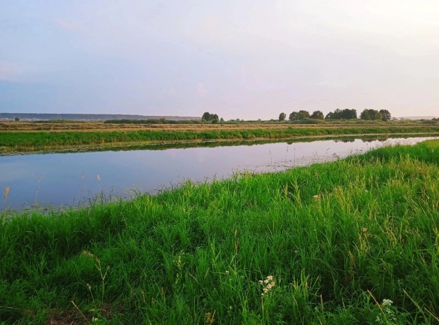 Рыбалка на карася