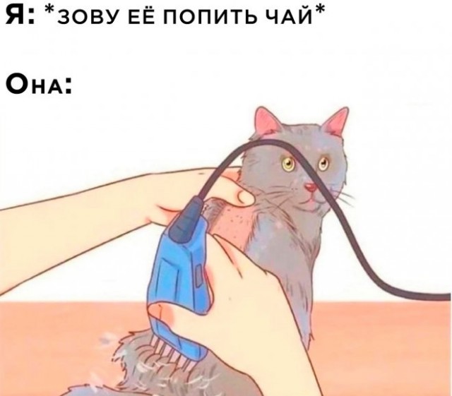 Картинки и мемы. Выходные близко, близко...