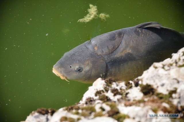 Мой Евротур