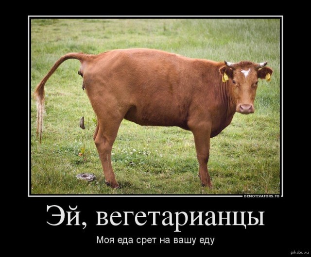 Веганы-активисты в Британии массово дырявили колёса молоковозов
