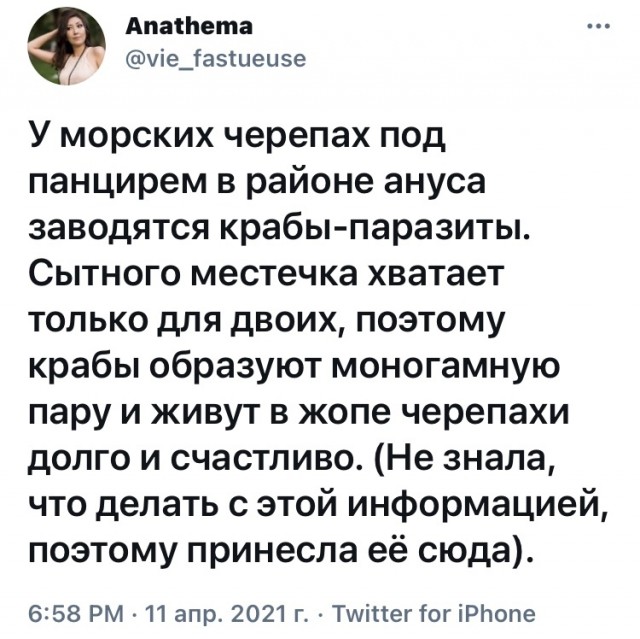 Весёлая проктология для деградантов
