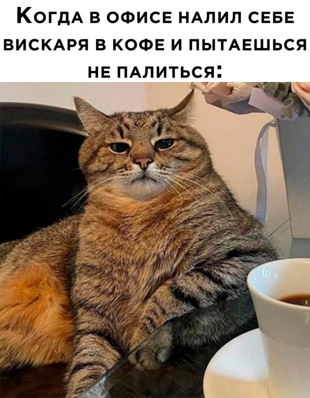 Так себе картинки 24.12.22