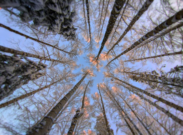 Моя мобильная фотография
