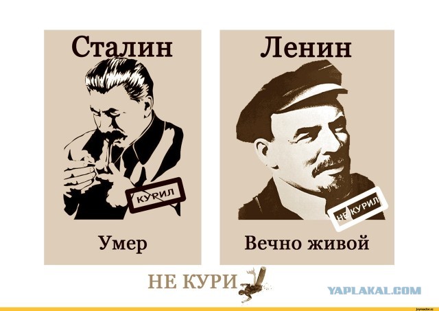 Российский учёный в одиночку открыл тёмную энергию в биологических системах