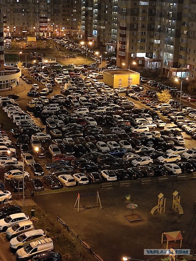 Жизнь в человейнике