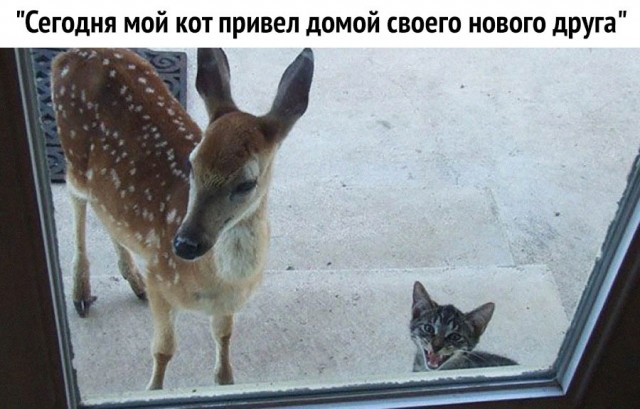 Картинки и мемы, всем хороших выходных