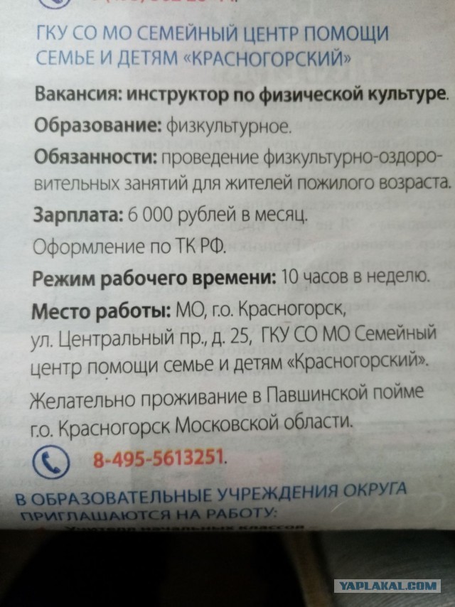 В школе Красногорска появилась вакансия учителя с зарплатой в шесть тысяч рублей