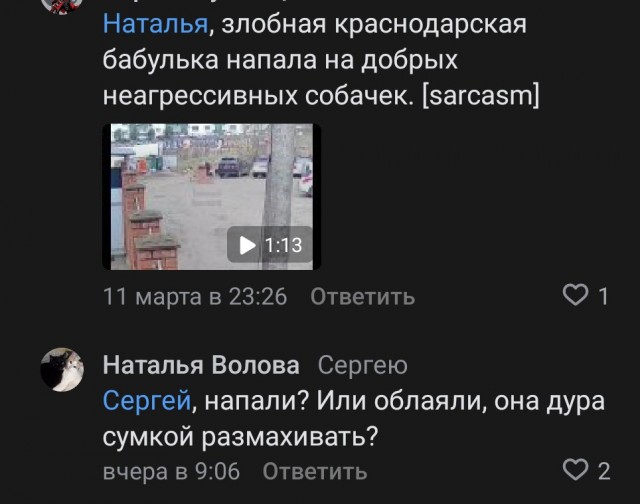 Как-то раз одна сердобольная бабулька пошла покормить "бедных собачек"