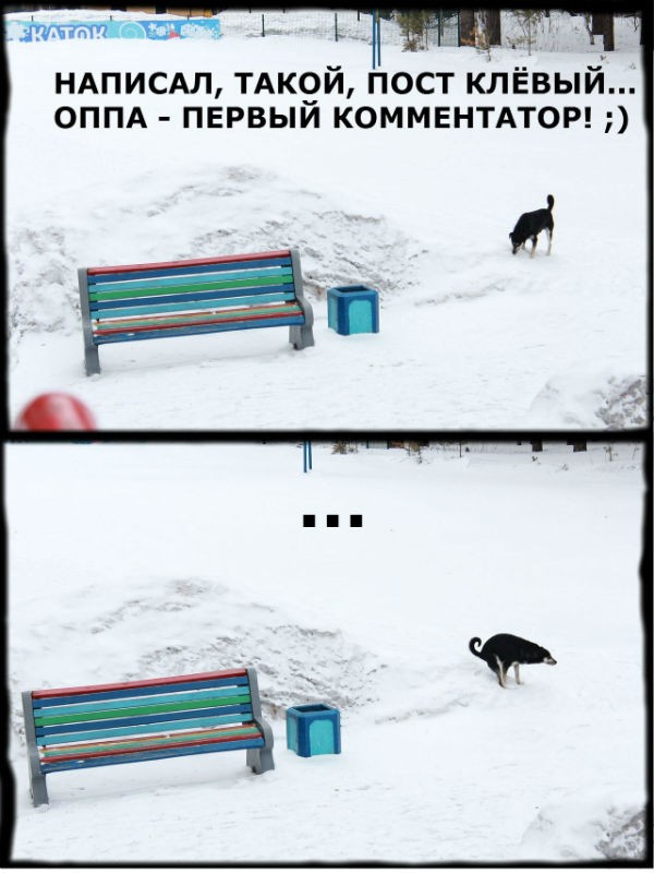 Смотрите на всех форумах страны