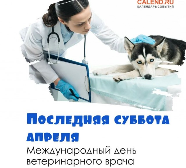 Победная поступь идиотизма по планете – том 13