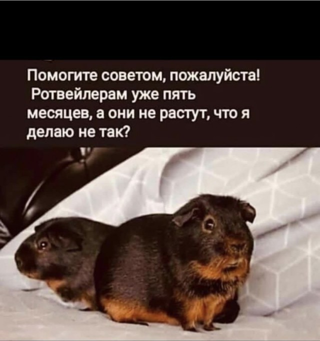 Так себе картинки 01.08.23