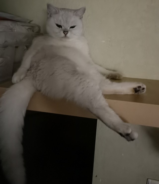 Маленькая хозяйка