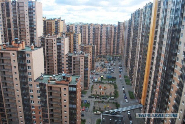 В домовых чатах в центре Москвы люди задают
