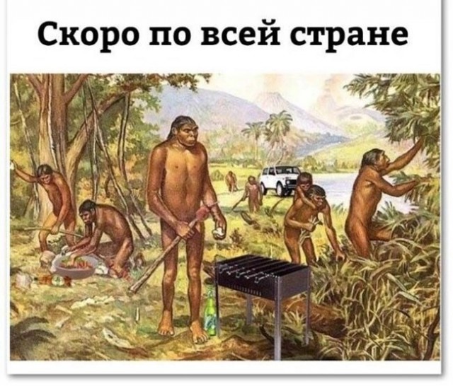 Весёлые картинки