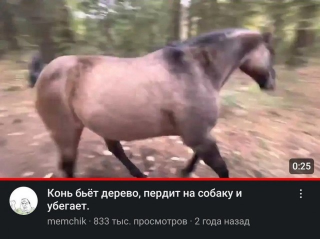 Отряд быстрого деградирования