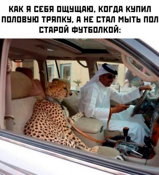 Веселые картинки к пятнице (07.06)