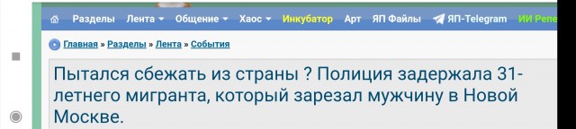 Пытался сбежать из страны ? Полиция задержала 31-летнего мигранта, который зарезал мужчину в Новой Москве.