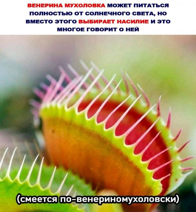 Веселые картинки к понедельнику (14.10)