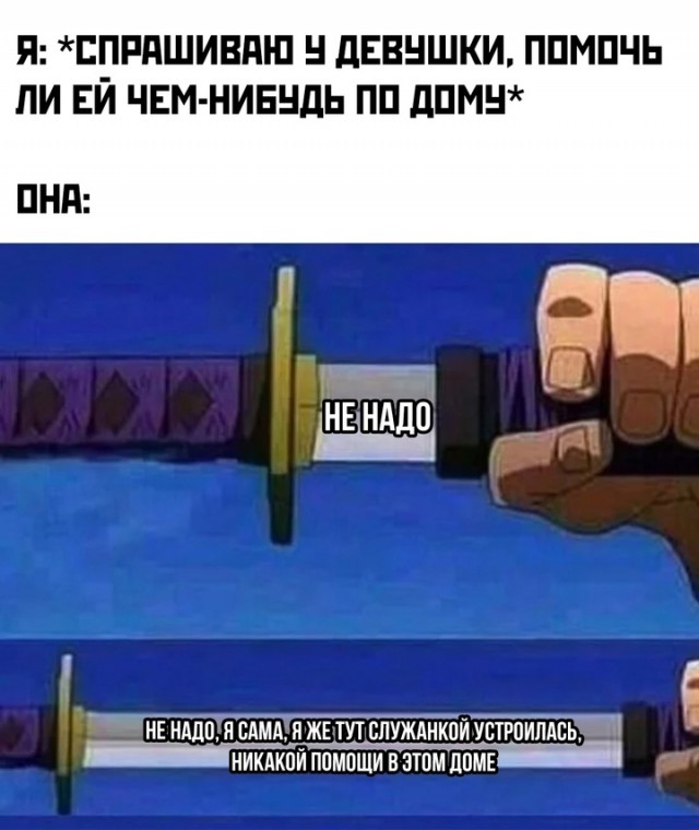Весёлый полтишок 01.11.24