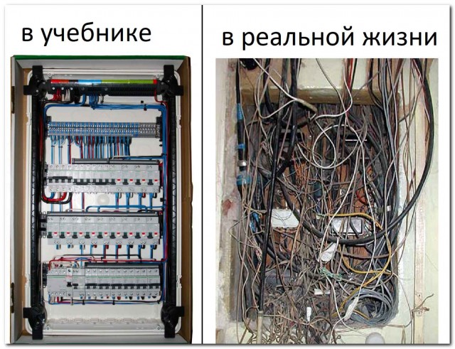 «И в учебниках наврали!»⁠⁠