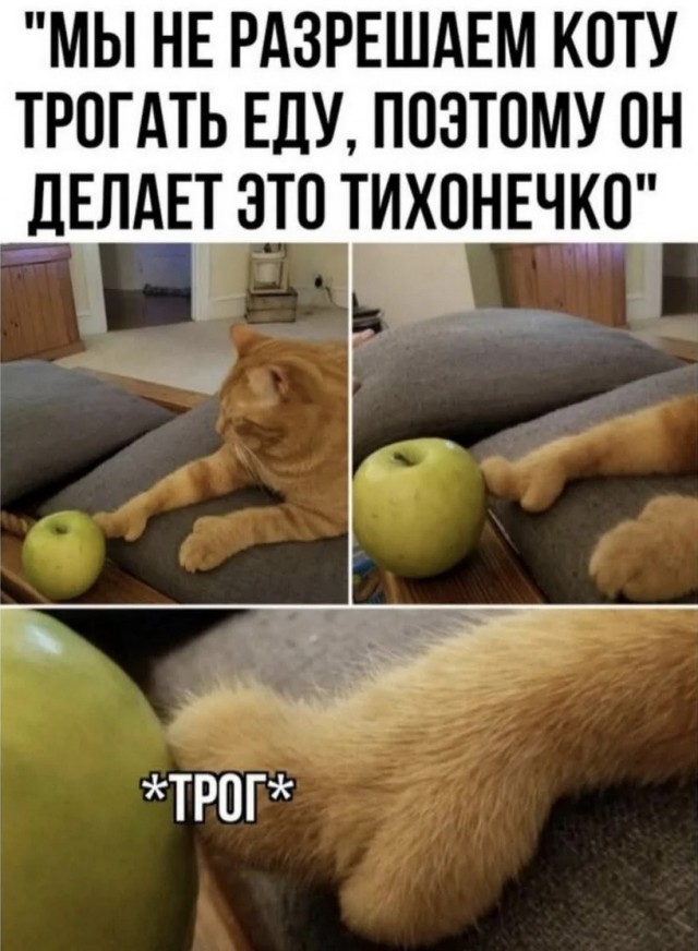 Завалялось тут случайно немного забавных картинок
