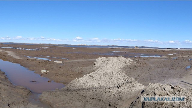 Красота! Лето на Ямале. Фото