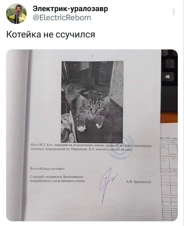 Веселые картинки в пятницу (11.04)