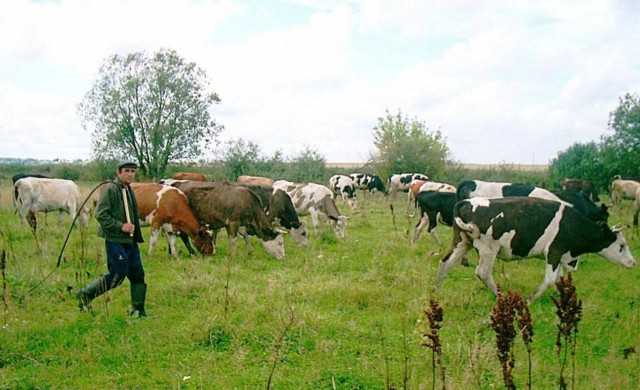 Ковид, Цифровая валюта и прочие радости