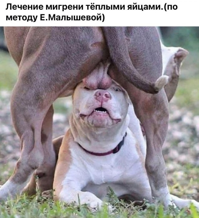 Маленькая пятница 4.06.25