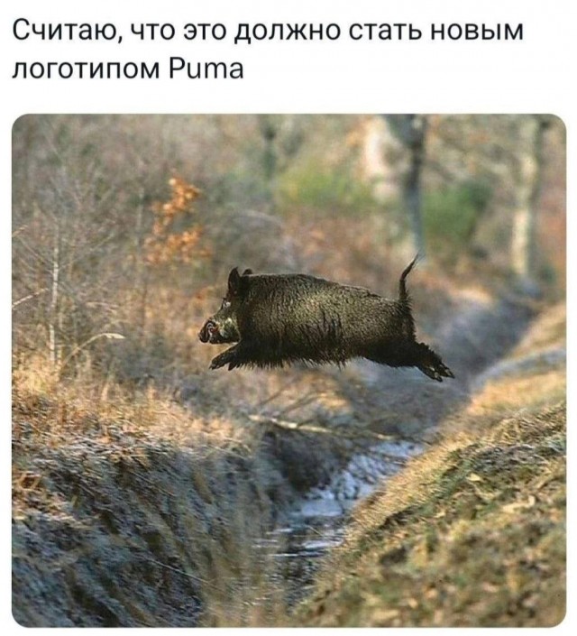 Ну что, господа. Послепраздничная дичь