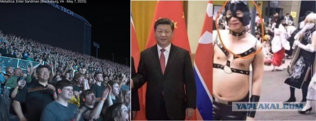 Деградация