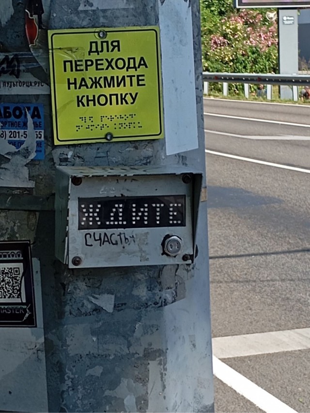Прикольные и просто красивые картинки 15.08.2025