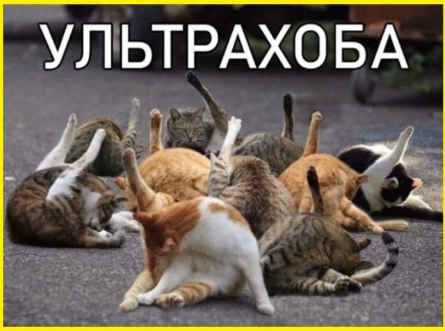 ТРРРидцать тРРРи от 10 сентябРРРя