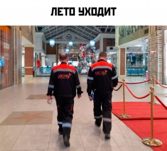 Веселые картинки в маленькую пятницу (10.09)